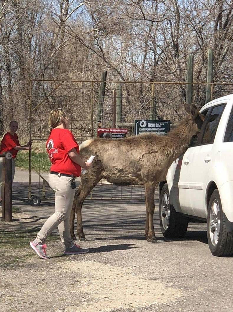 Gewoon een verzameling hilarische foto's #1291