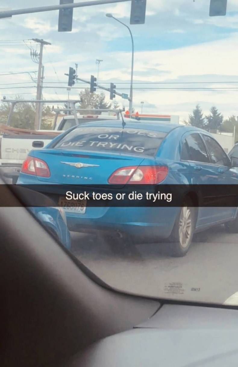 Gewoon een verzameling hilarische foto's #1287