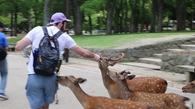 Gewoon een verzameling hilarische foto's #1194