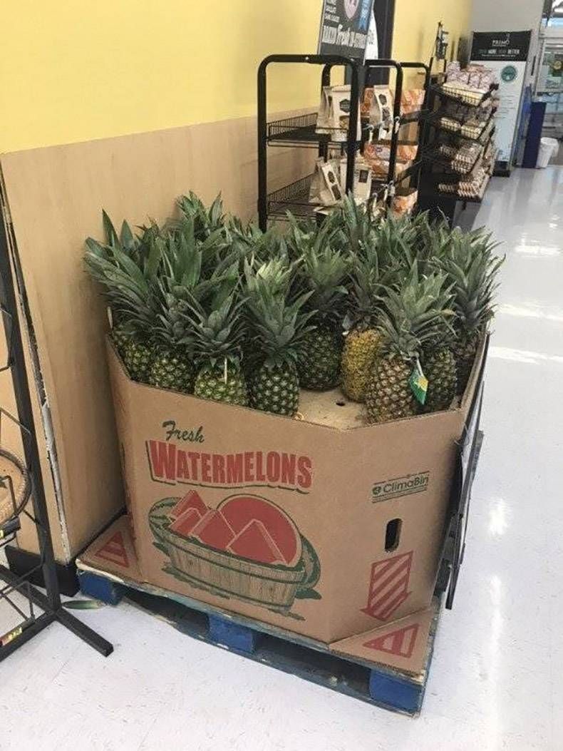 Gewoon een verzameling hilarische foto's #1168