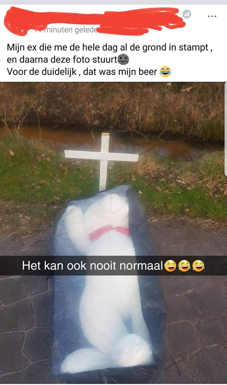 Gewoon een verzameling hilarische foto's #934
