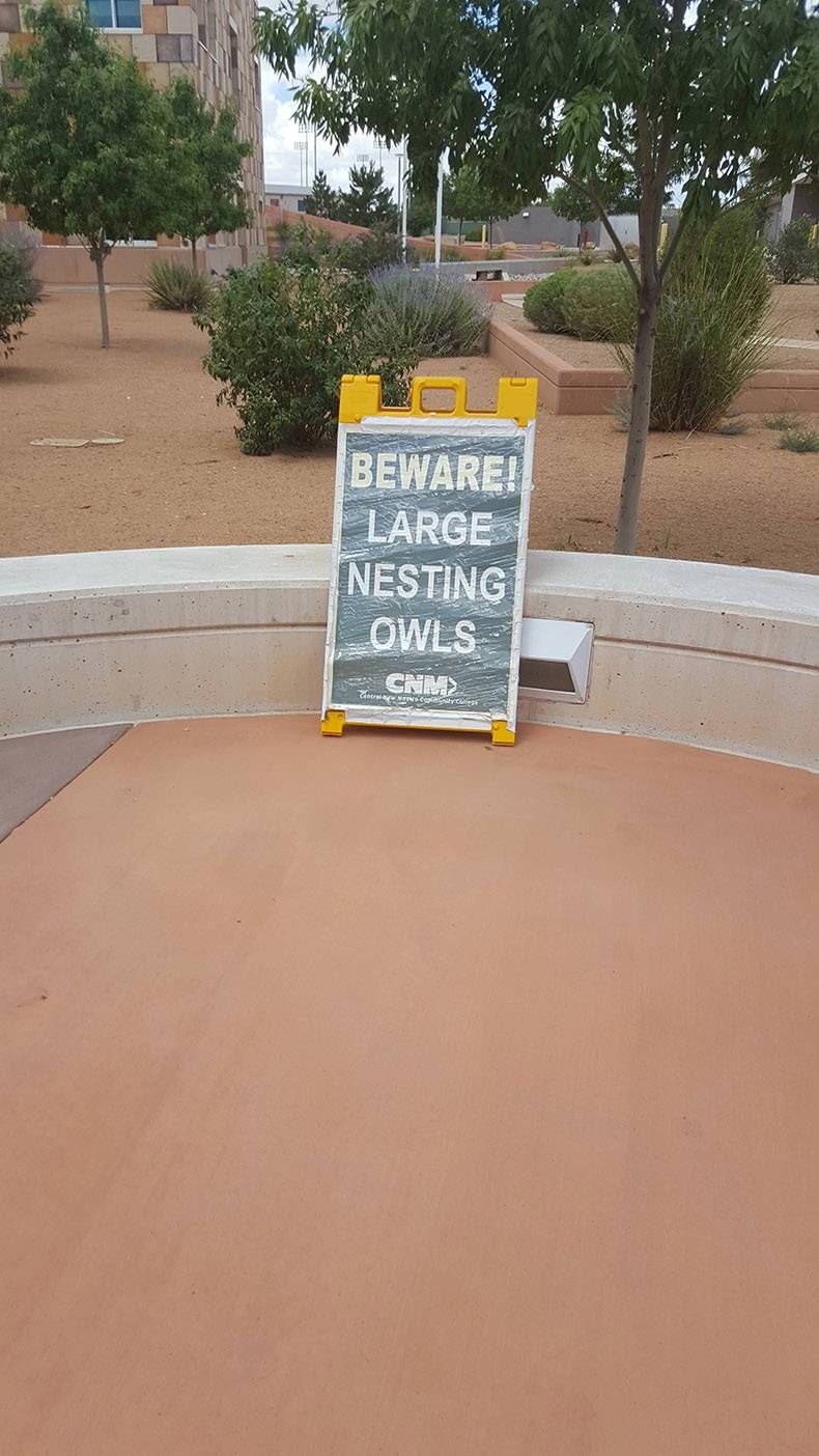 Gewoon een verzameling hilarische foto's #845