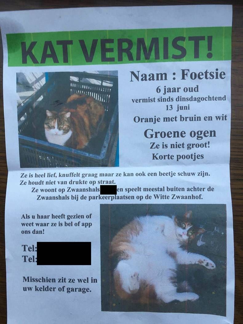 Gewoon een verzameling hilarische foto's #829