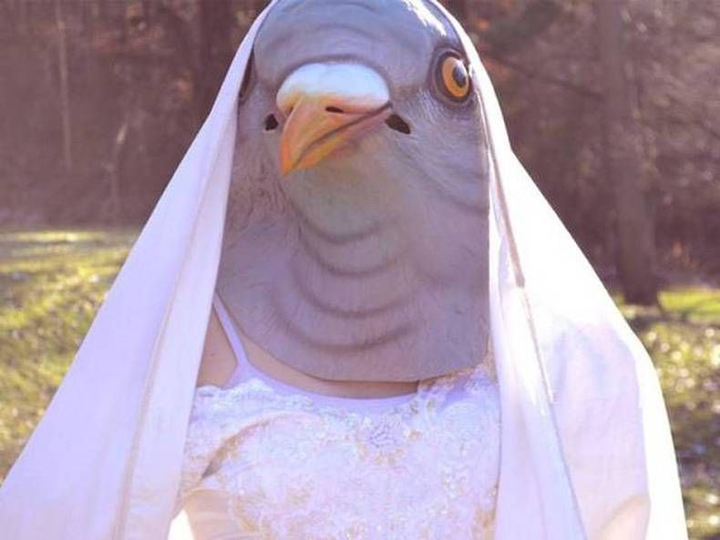 Gewoon een verzameling hilarische foto's #725