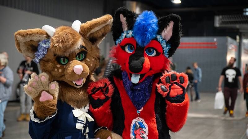 Heroes Dutch Comic Con 2019 in beeld