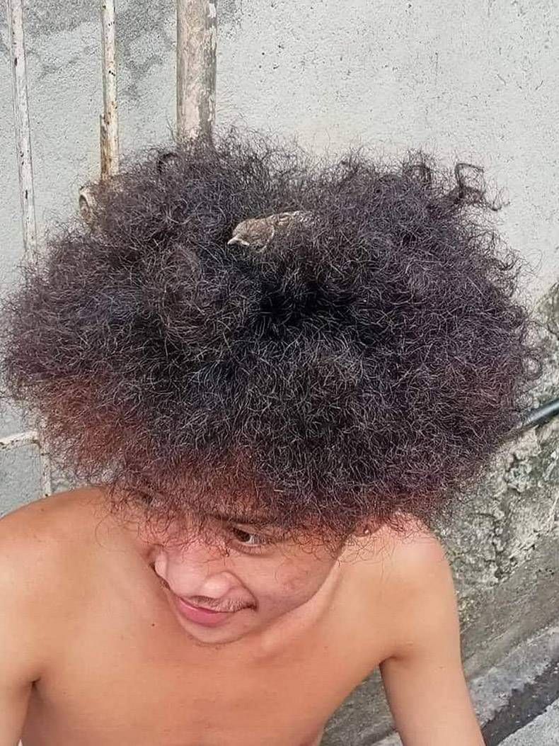 Gewoon een verzameling hilarische foto’s #1322