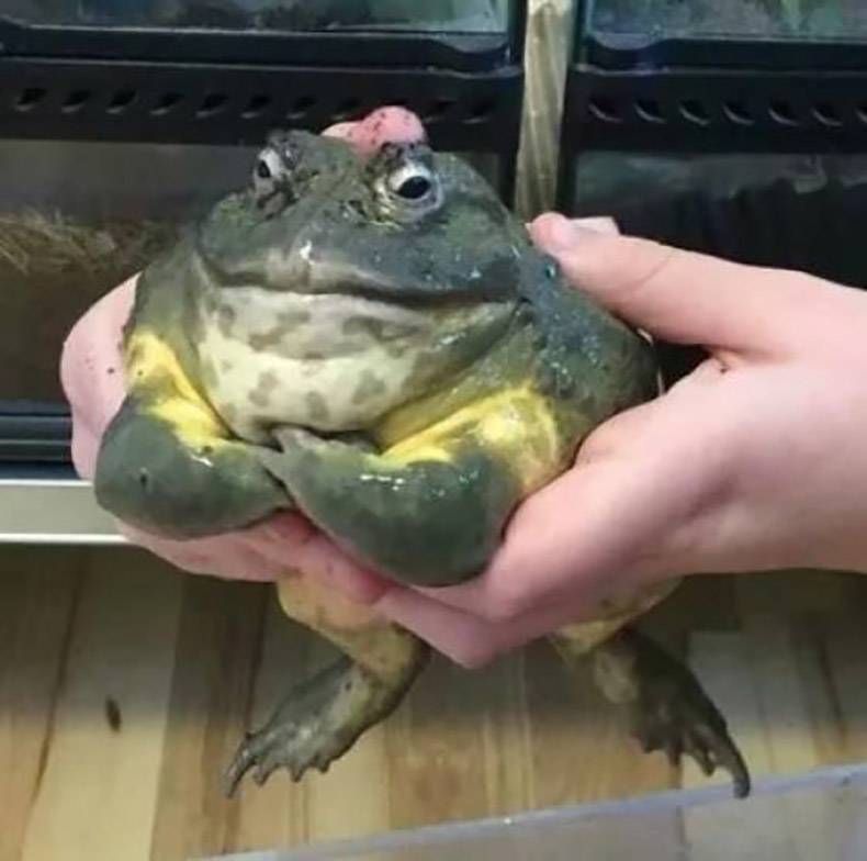 Gewoon een verzameling hilarische foto's #1199