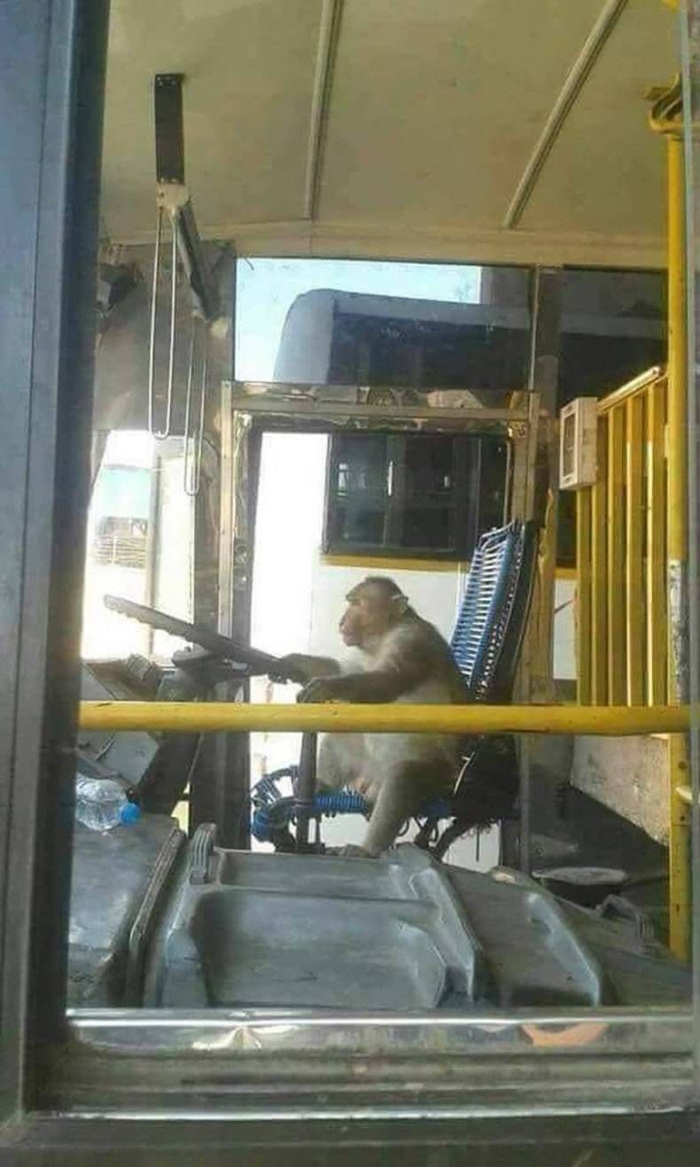 Gewoon een verzameling hilarische foto's #1178