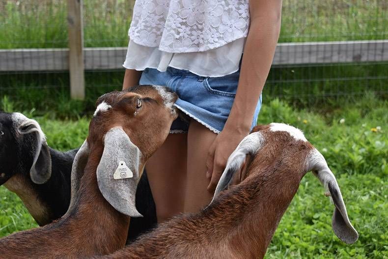 Gewoon een verzameling hilarische foto's #1130