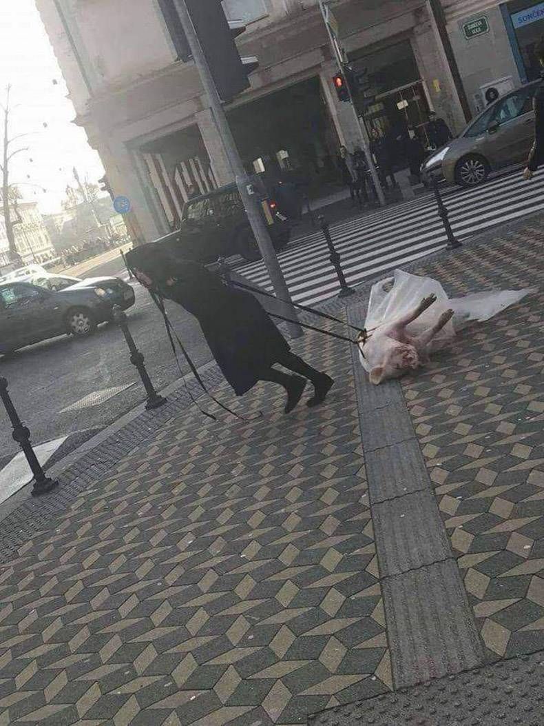 Gewoon een verzameling hilarische foto's #1069