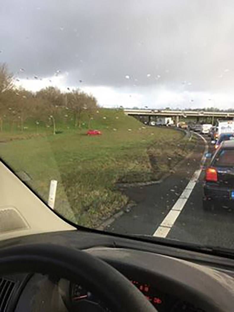 Gewoon een verzameling hilarische foto's #806