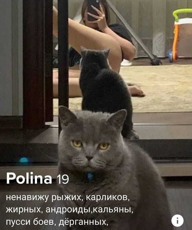 Gewoon een verzameling hilarische foto’s #1322