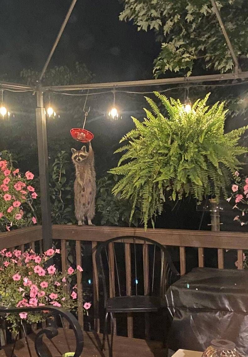 Gewoon een verzameling hilarische foto's #1321