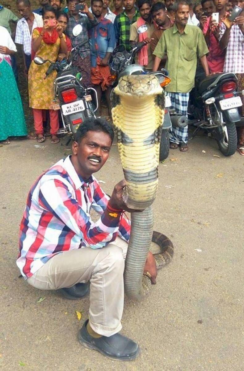 Gewoon een verzameling hilarische foto's #1247