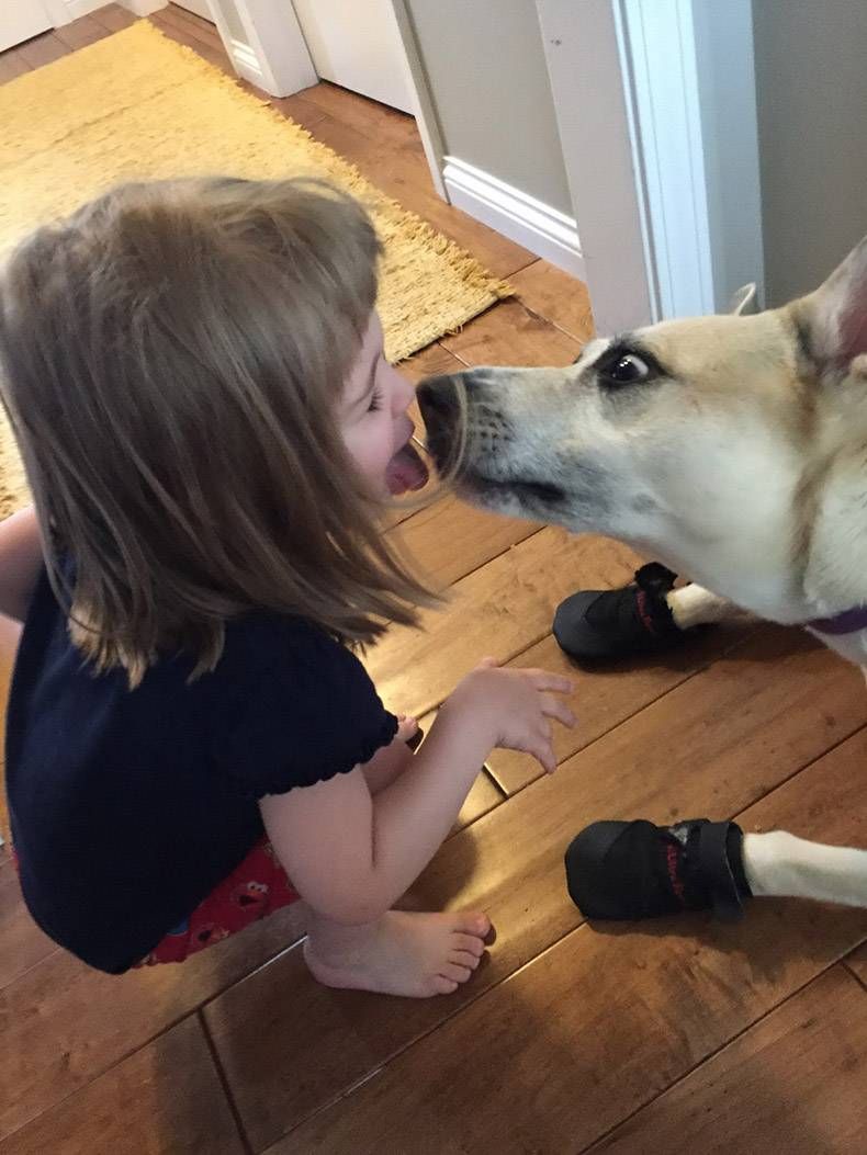 Gewoon een verzameling hilarische foto's #1130