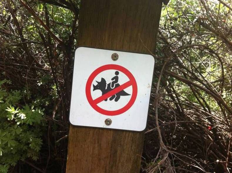 Gewoon een verzameling hilarische foto's #845