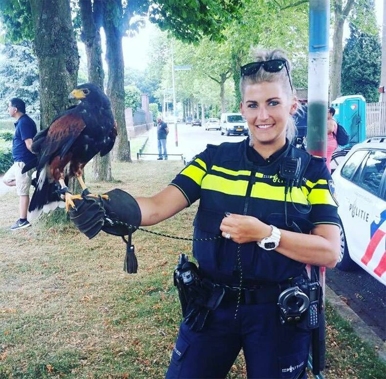 Gewoon een verzameling hilarische foto's #826