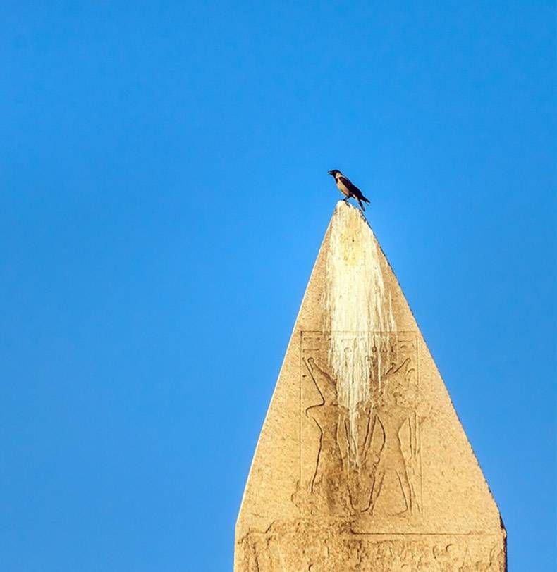 Gewoon een verzameling hilarische foto's #823