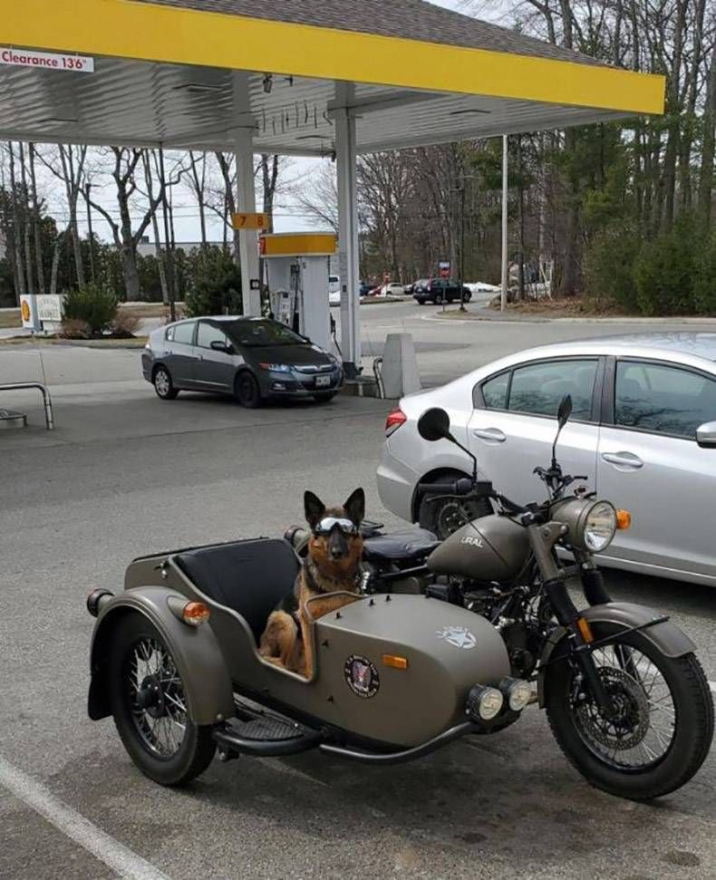 Gewoon een verzameling hilarische foto's #1265