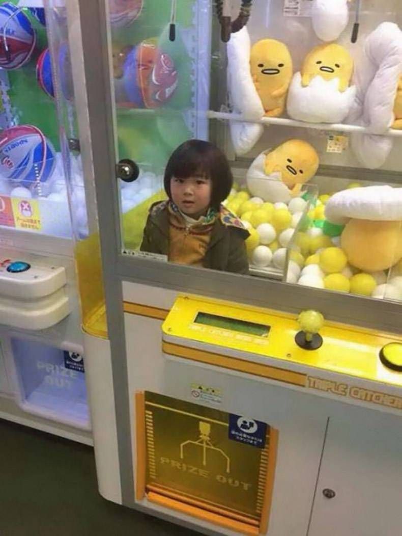 Gewoon een verzameling hilarische foto's #1262