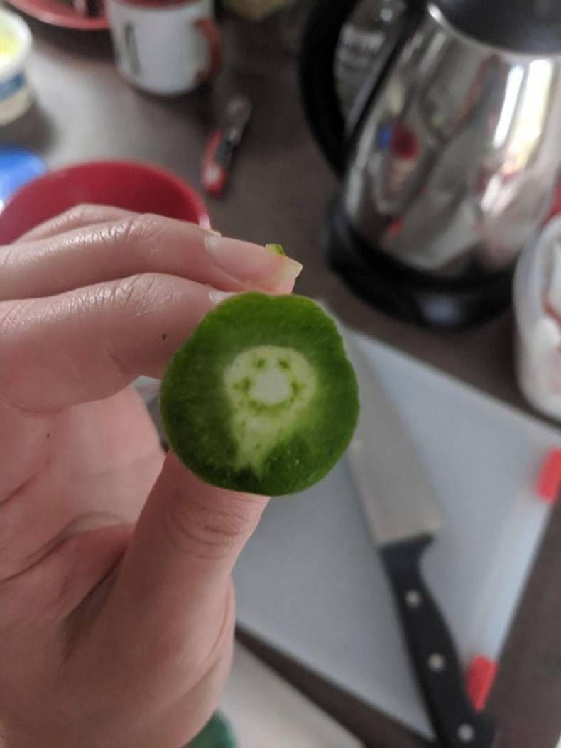 Gewoon een verzameling hilarische foto's #1142