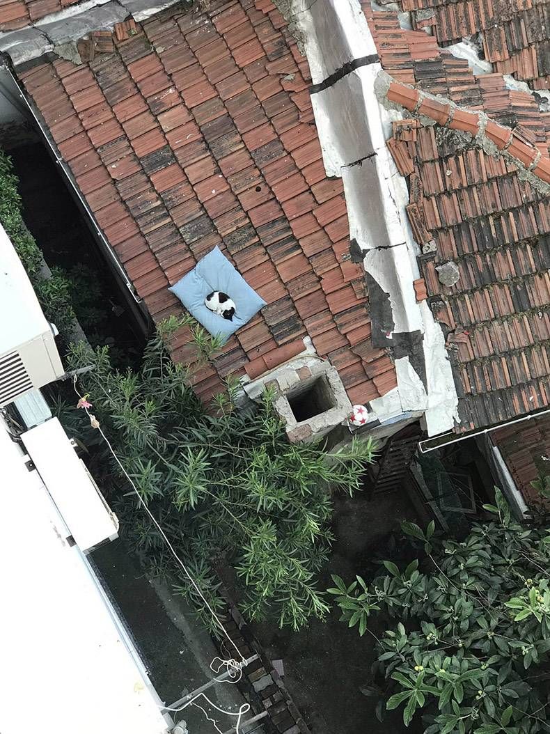 Gewoon een verzameling hilarische foto's #1129
