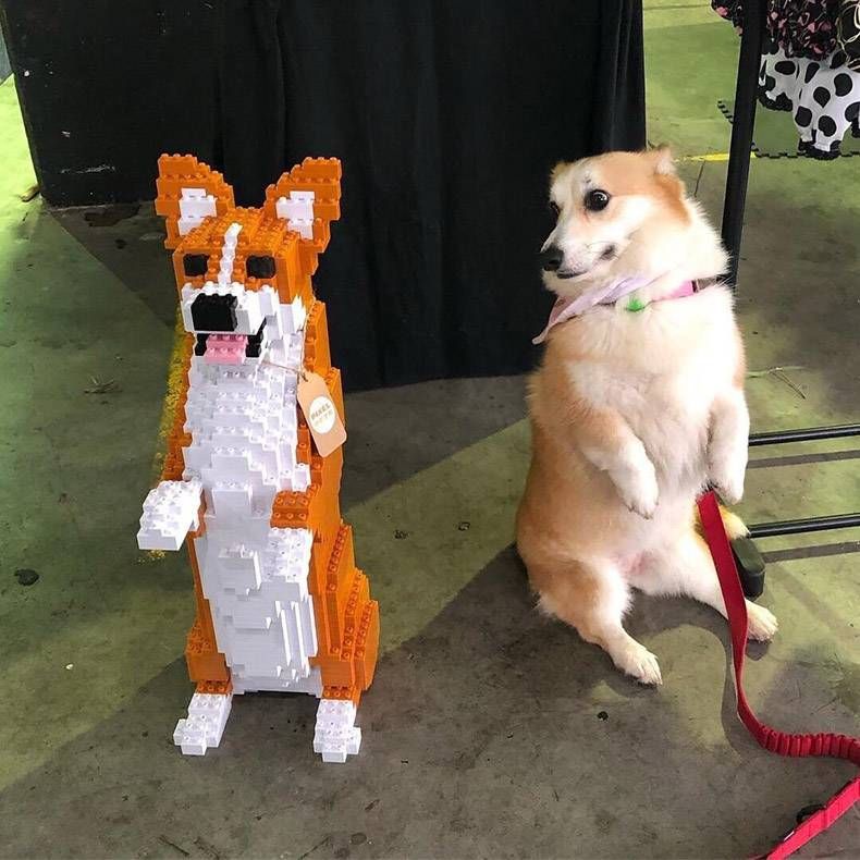 Gewoon een verzameling hilarische foto's #1094