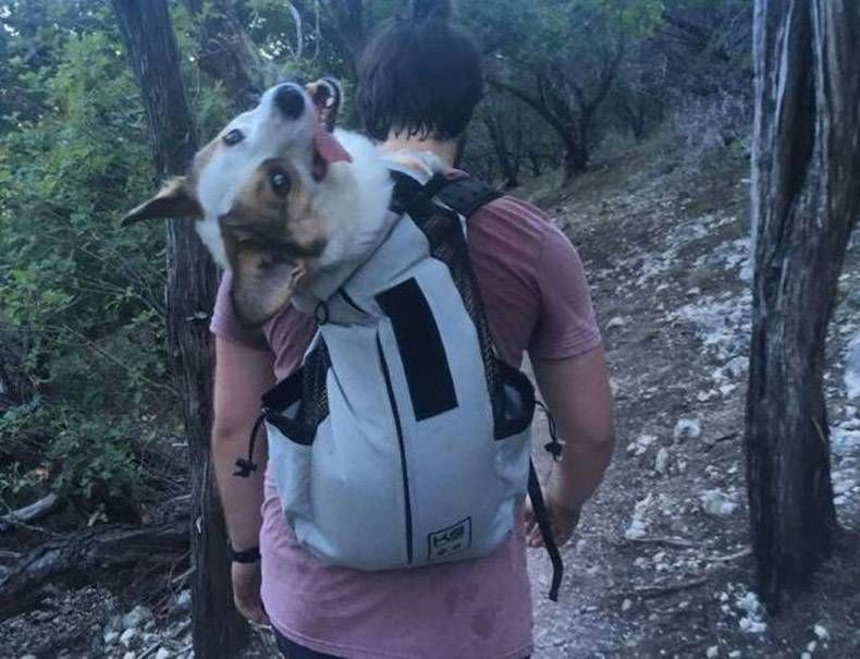 Gewoon een verzameling hilarische foto’s #858