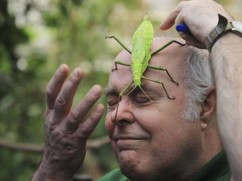 Gewoon een verzameling hilarische foto's #762