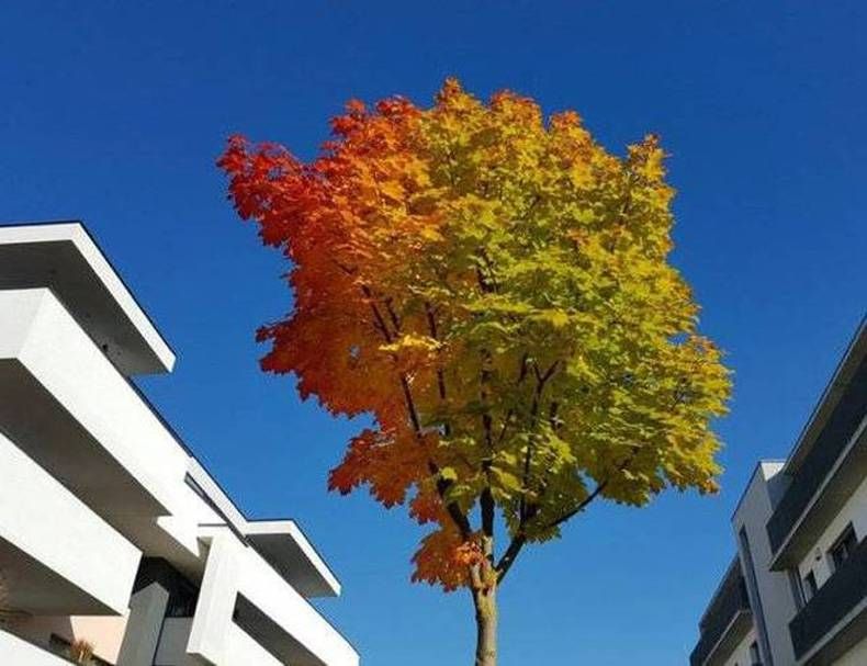 Gewoon een verzameling hilarische foto's #725