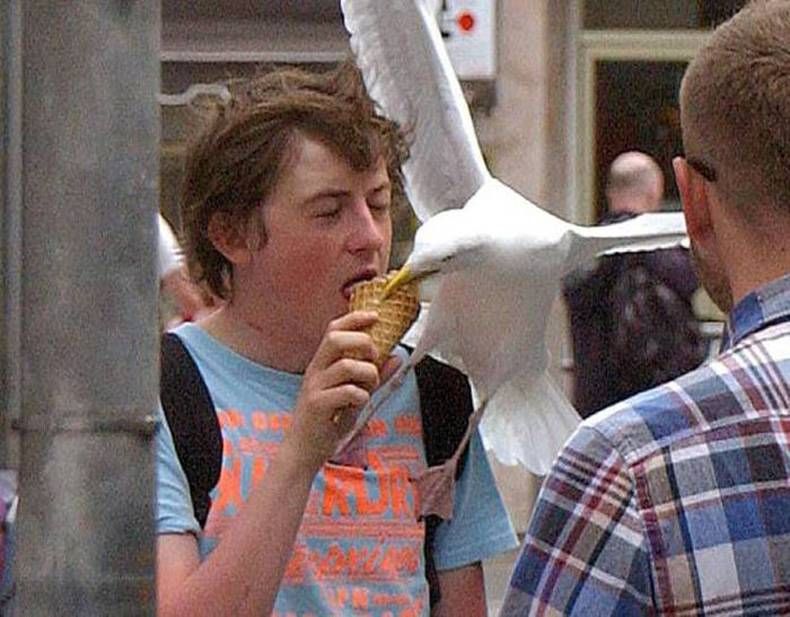 Gewoon een verzameling hilarische foto's #704