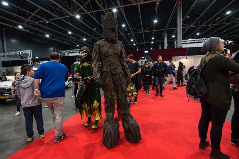 Gewoon mooie foto's van de Dutch Comic Con Winter Editie 2017