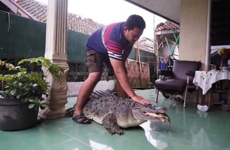 Gewoon een verzameling hilarische foto’s #1364