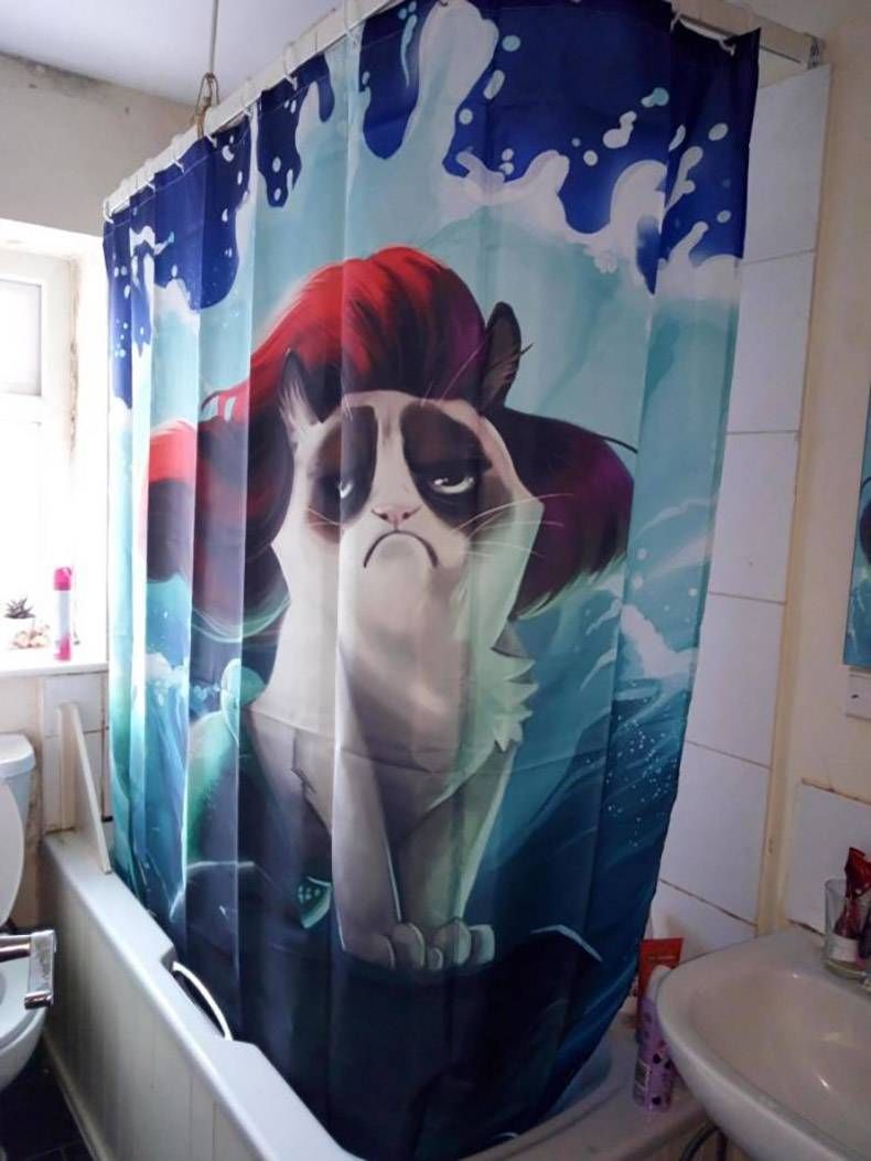 Gewoon een verzameling hilarische foto's #1256