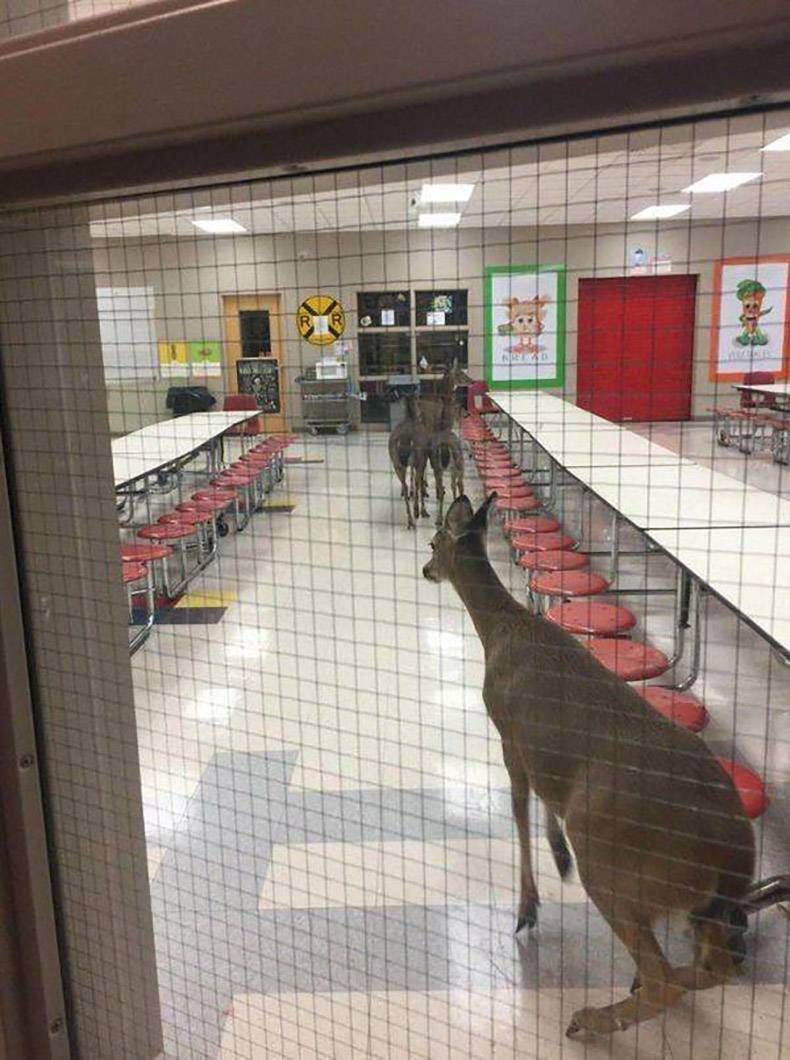 Gewoon een verzameling hilarische foto's #1240