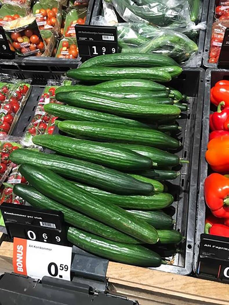 Gewoon een verzameling hilarische foto's #1173