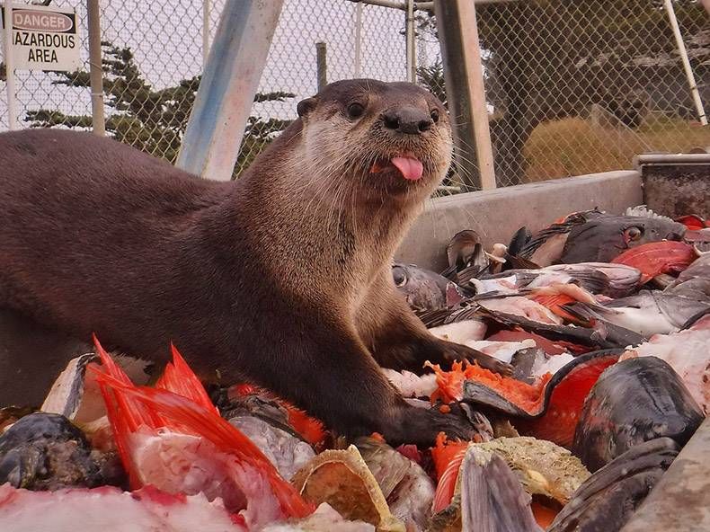 Gewoon een verzameling hilarische foto's #1161