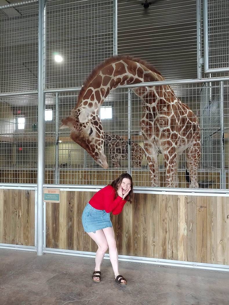 Gewoon een verzameling hilarische foto's #1127