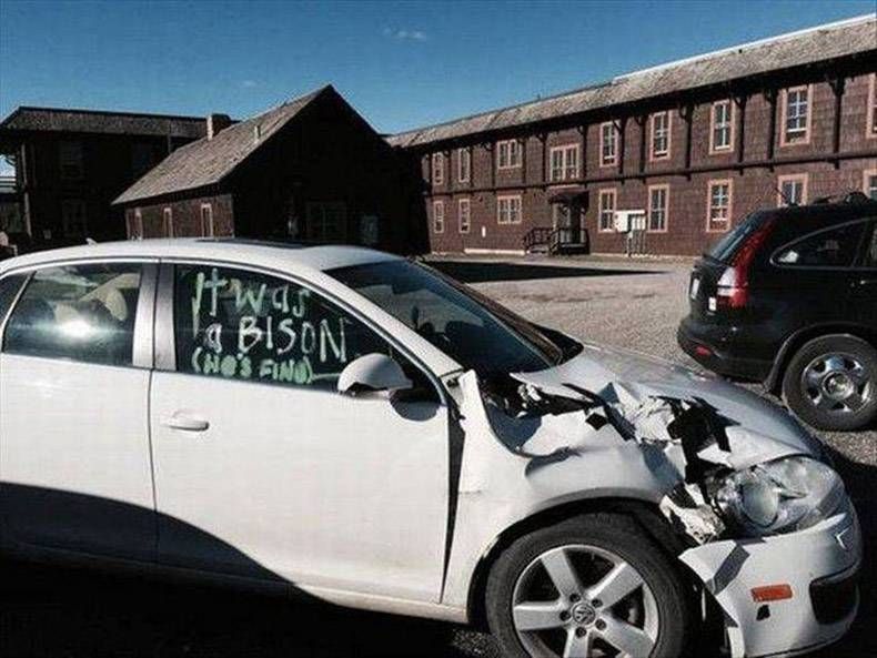 Gewoon een verzameling hilarische foto’s #921