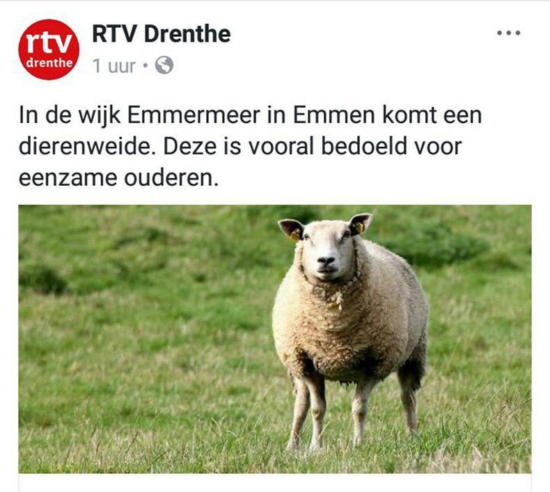 Gewoon een verzameling hilarische foto's #893