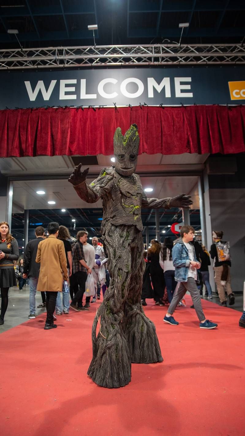 Heroes Dutch Comic Con 2019 in beeld