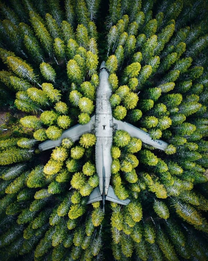 Gewoon een verzameling hilarische foto's #1037