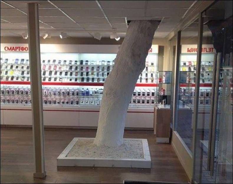 Gewoon een verzameling hilarische foto's #925