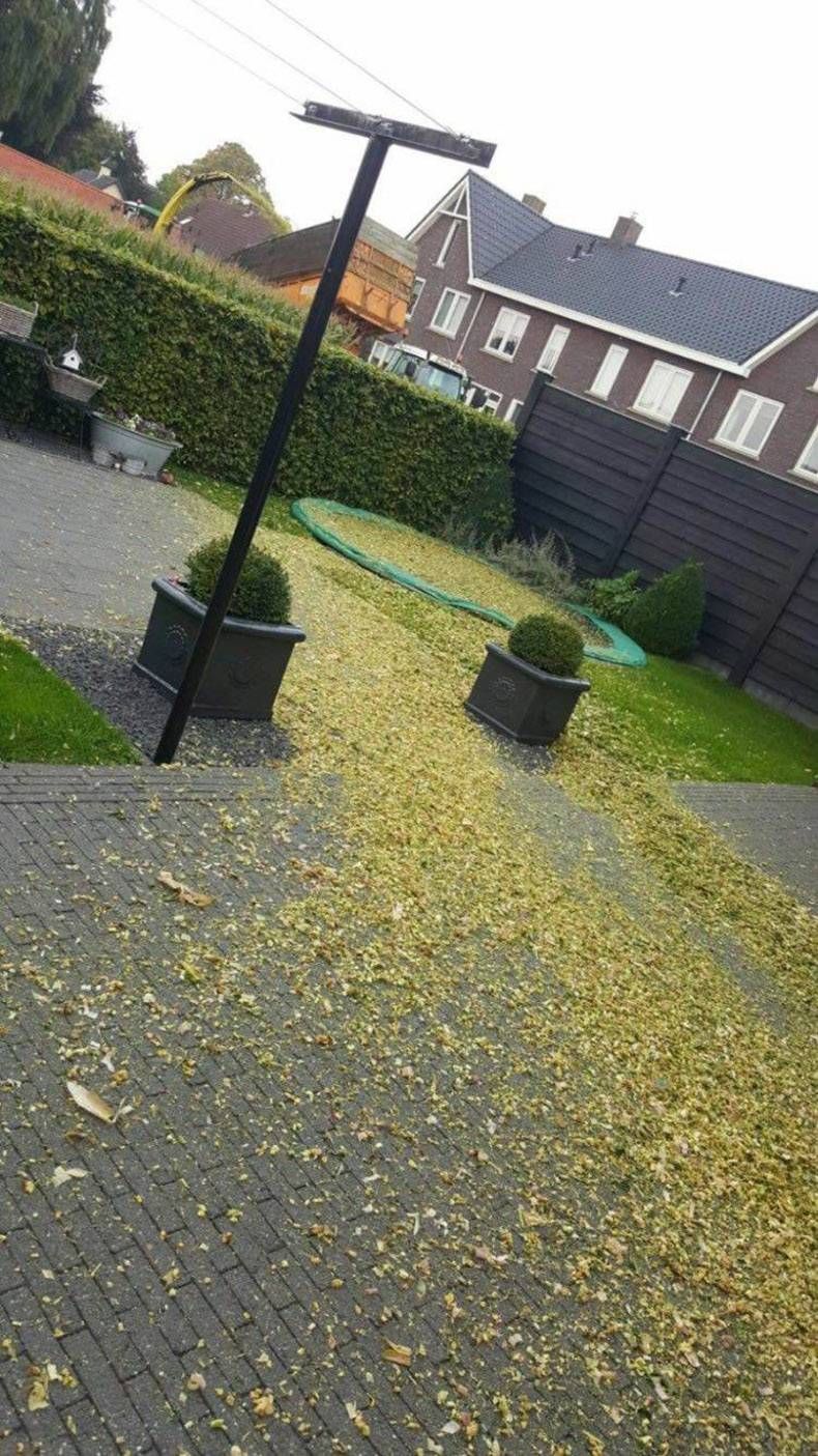 Gewoon een verzameling hilarische foto's #871