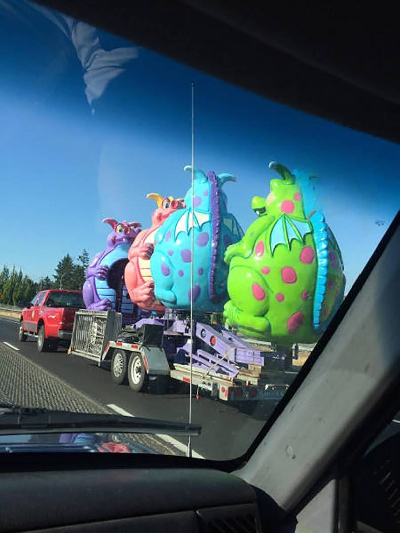 Gewoon een verzameling hilarische foto's #833