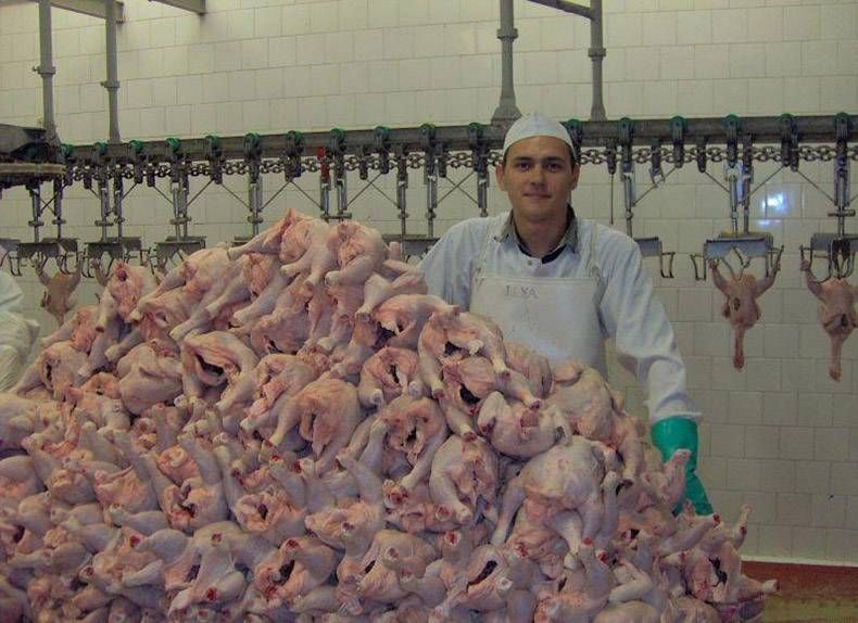Gewoon een verzameling hilarische foto's #826