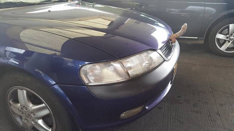 Gewoon een verzameling hilarische foto's #772