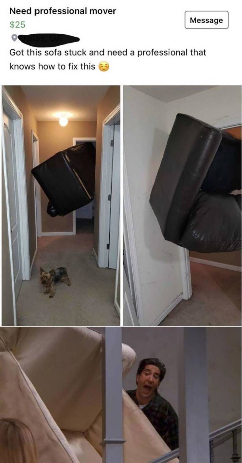 Gewoon een verzameling hilarische foto's #1257