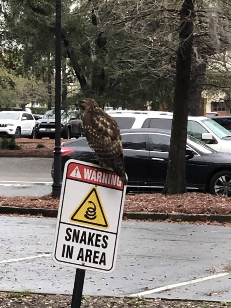 Gewoon een verzameling hilarische foto's #1255