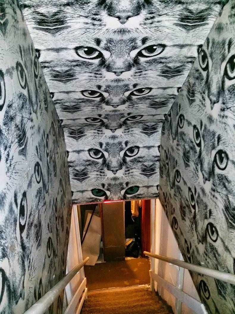 Gewoon een verzameling hilarische foto's #1079